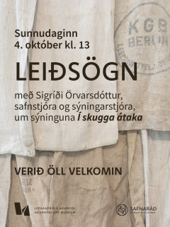 Lei�s�gn um s�ninguna � skugga �taka