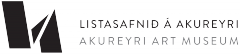 rijudagsfyrirlestur fellur niur