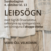 Lei�s�gn um s�ninguna � skugga �taka