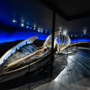 Mynd: Dan�el Starrason