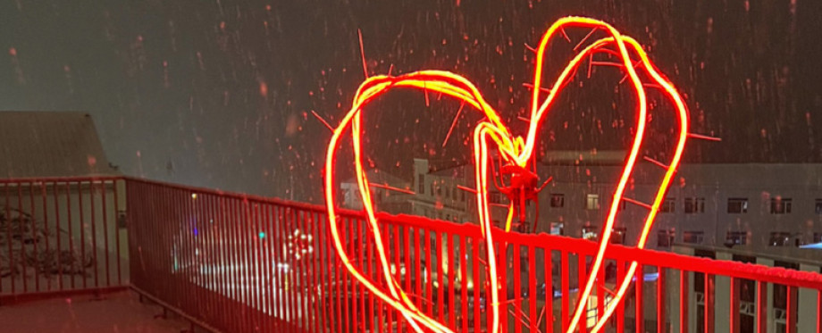 Sj�lfs�starv�rus